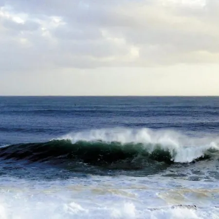 Vogelnest شقة Hage