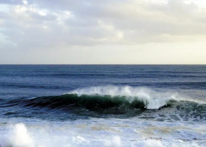 Vogelnest Lejlighed Hage